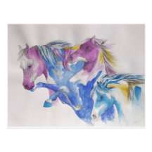 Mustang Portrait in Pastel Post Cards