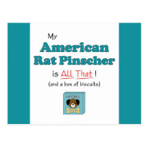 My American Rat Pinscher is All That! Postcard