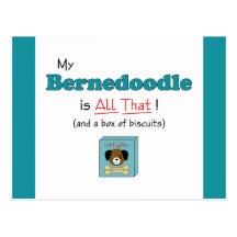 My Bernedoodle is All That! Postcards