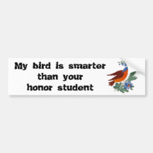My bird is smarter than your honour student bumper stickers