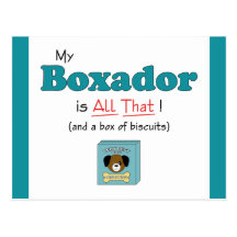 My Boxador is All That! Postcard