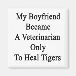 My Boyfriend Became A Veterinarian Only To Heal Ti Magnets