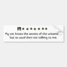 My cat knows the secrets of the universe.... bumper stickers