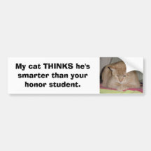 My cat THINKS he's smarter than your honour... Bumper Stickers