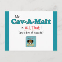 Cav A Malt