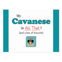 My Cavanese is All That! Post Cards