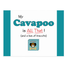My Cavapoo is All That! Postcards