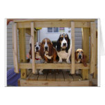 My Crew Greeting Card