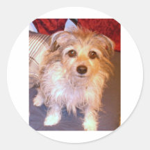 My Dog Round Stickers