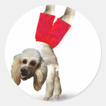 My Dog Wearing Pants Round Stickers