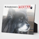 My Favourite Breed Is Rescued Photo Plaques
