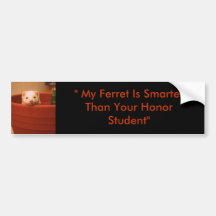 " My Ferret Is Smarter Than Your Honour Stud... Bumper Stickers