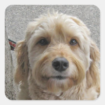 My Friend dog Sticker