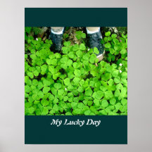 My Lucky Day Posters