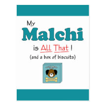 My Malchi is All That! Postcard