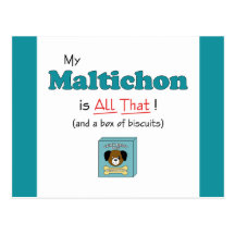 My Maltichon is All That! Post Card