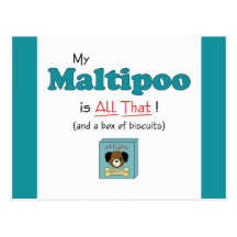 My Maltipoo is All That! Postcards