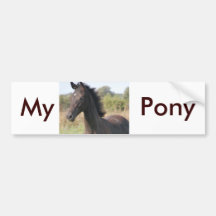 My New Pony Bumper Sticker