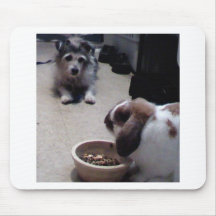 My pets mousepad