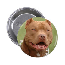 my pitbull pinback buttons