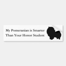 My Pomeranian is Smarter Than Your Honour Student Bumper Stickers