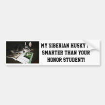 My Siberian Husky is smarter than you... Bumper Sticker