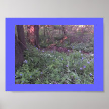 My Wildflower Garden 2 Print