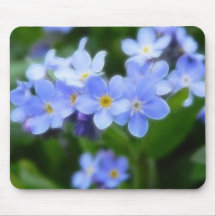 Myosotis sylvatica - Forget Me Nots Mouse Pads