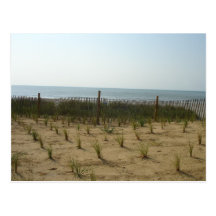 Myrtle Beach, SC. #13 Postcard