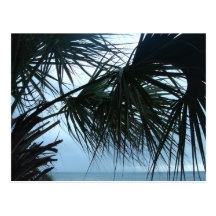 Myrtle Beach, SC. #17 Postcard