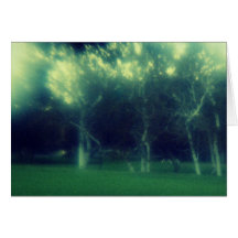 mysterious forest greeting cards