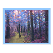 Mystical Dawn Postcards