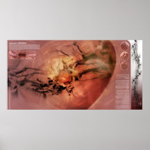 Myth of Science II Posters