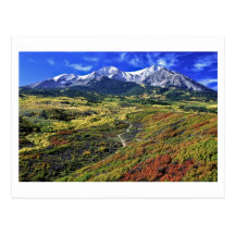 Name Your Postcard