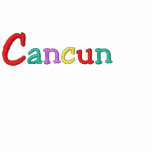 Namedrop Nation_Cancun Multi-coloured Embroidered Hooded Sweatshirt