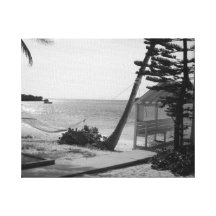 Nap time canvas print