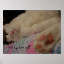 Nap Time Poster