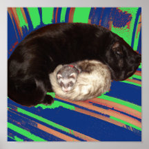 Nap Time Poster