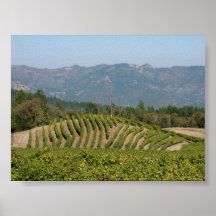 Napa Valley Print starting at $9.95