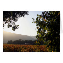 Napa Valley USA Greeting Card