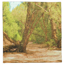 Napkins - Colour Image
