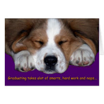 Napping Dog Graduation Greeting Cards