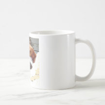 Napping Dogs Mugs