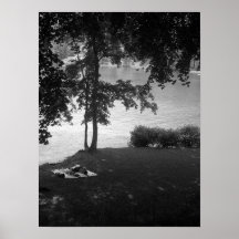Napping Print