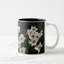 Narcissus and Wooden Fence Coffee Mugs