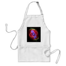 NASAs Cat's Eye Nebula Aprons