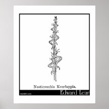 Nasticreechia Krorluppia. Posters