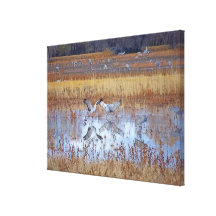 National Wildlife Refuge Dawn Wrapped Canvas Canvas Print