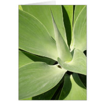 Natural Green Spirals Greeting Card