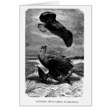 Natural History Blank Note Card